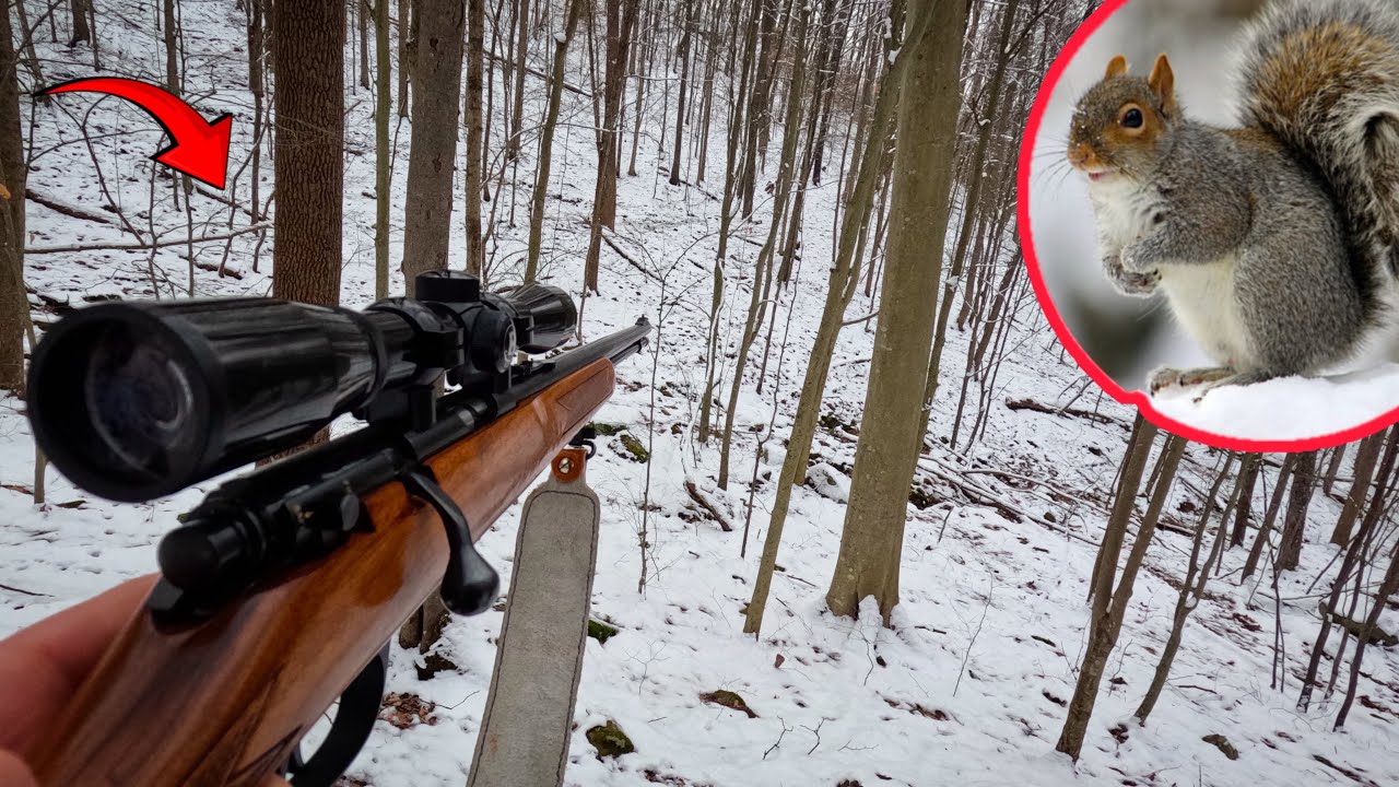 Winter Squirrel Hunting: Does It Work?