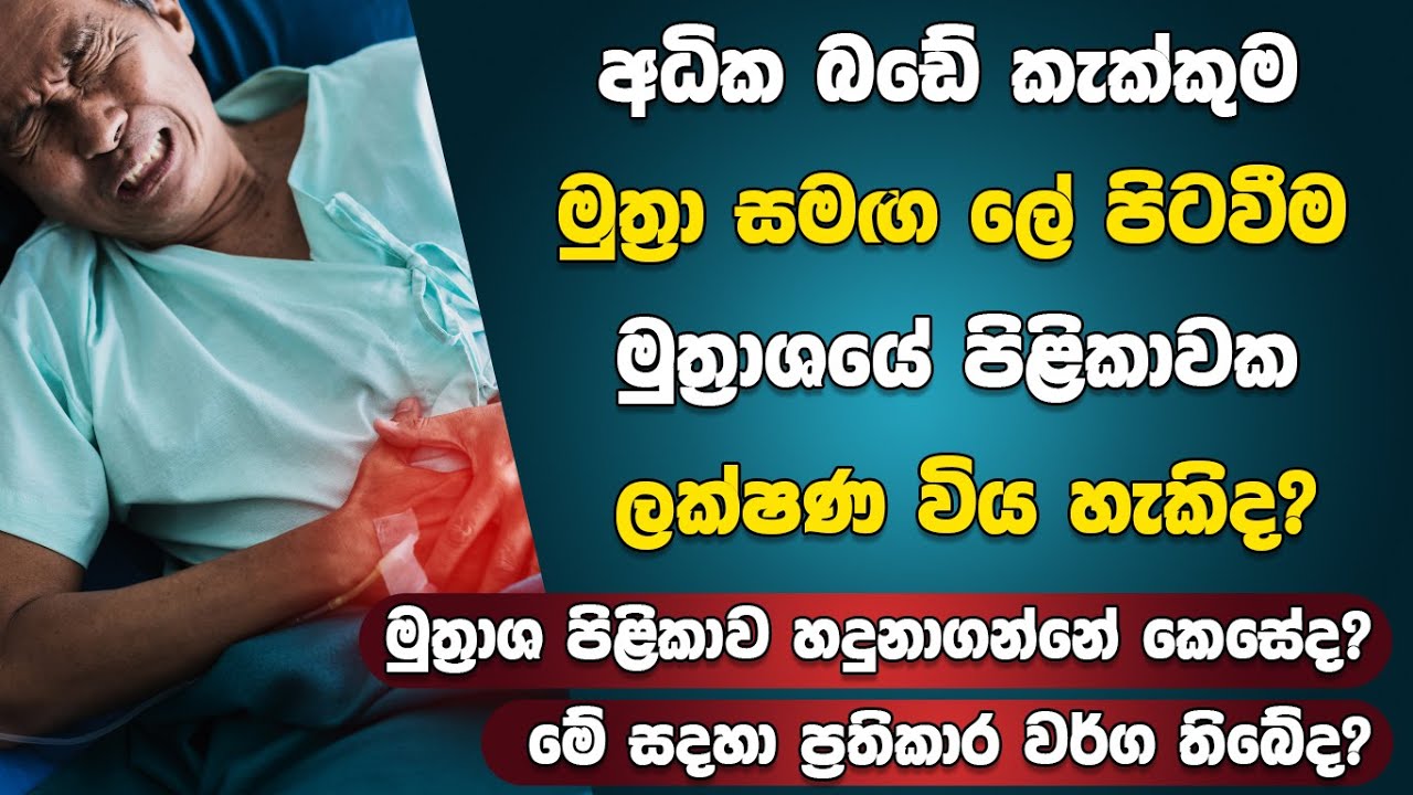 අධික බඩේ කැක්කුම, මුත්‍රා සමග රුධිරය පිටවීම, මුත්‍රාශයේ පිළිකා තත්ත්වයක් විය හැකියි | Bladder Cancer