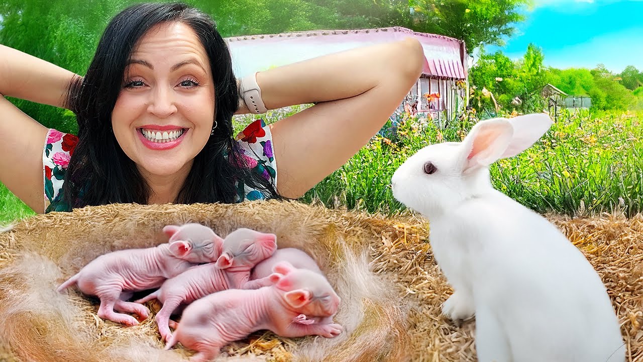 LA CONEJA PARIÓ 😱🐇❤️ Todo el Proceso del Parto en La Finquita Bonita