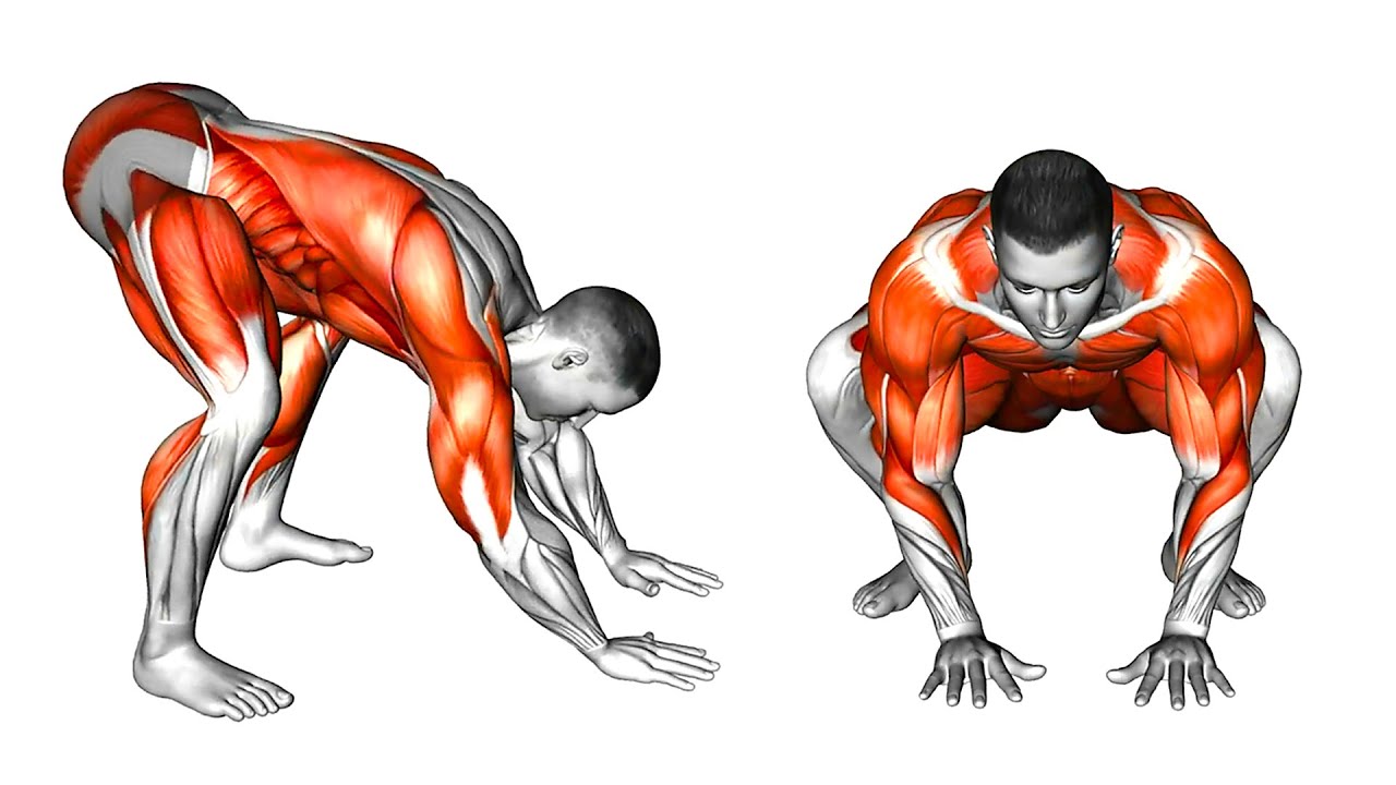 Движения животных вдохновят вас на следующую тренировку