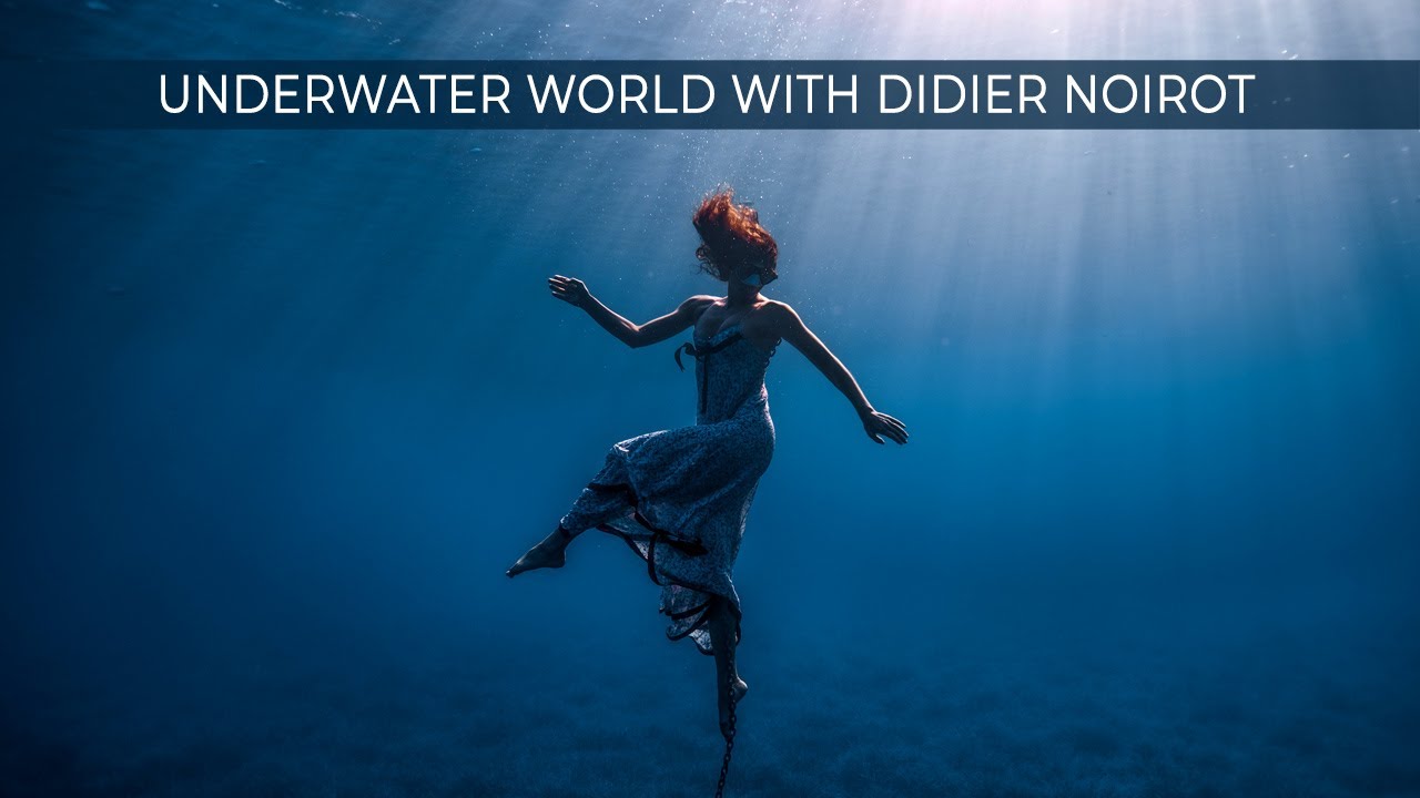 Underwater world with Didier Noirot