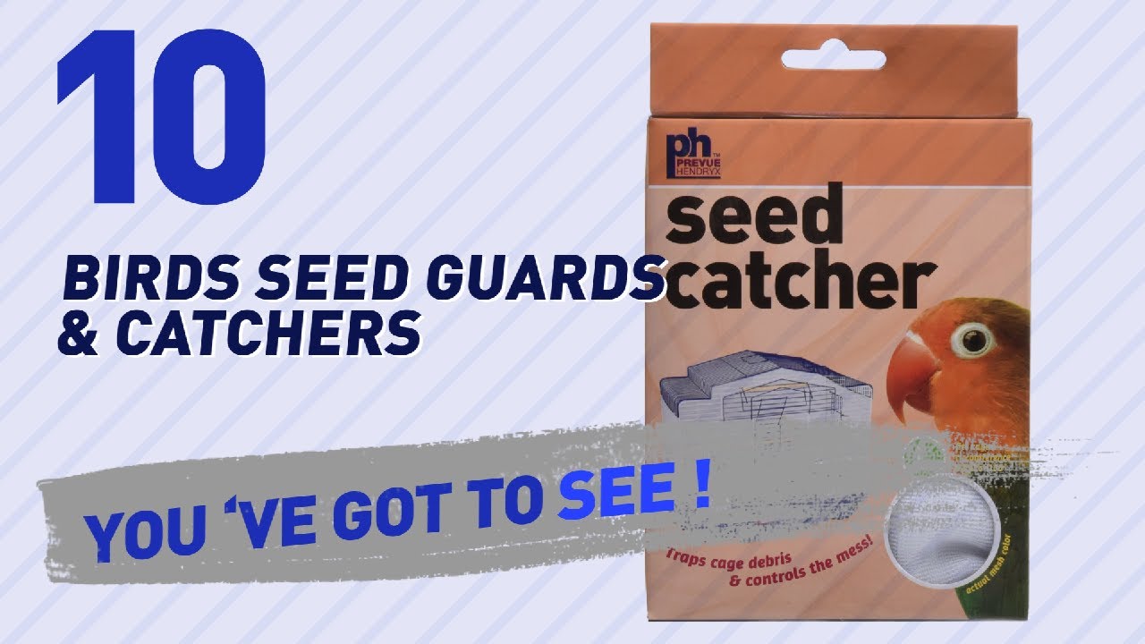 Top 10 Birds Seed Guards & Catchers // Birds Lover Channel Presents: