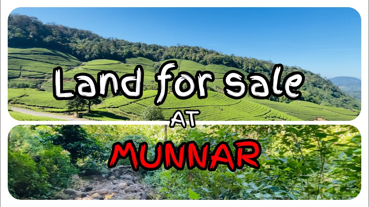 [281] Land for sale at Munnar ( suitable for resorts )