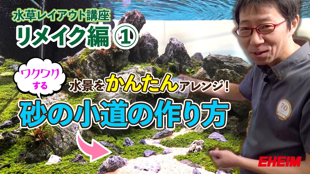 【水草水槽】レイアウト講座「リメイク編①」～化粧砂（Make up Sand）を使用して水景をイメージチェンジする方法～　エーハイムアンバサダー志藤範行氏