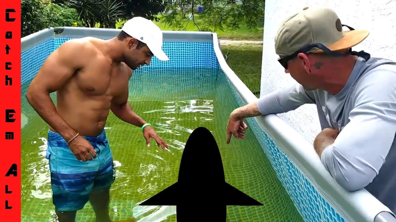 SHAMU RETURNS! GIANT FISH in MEGA POOL POND!