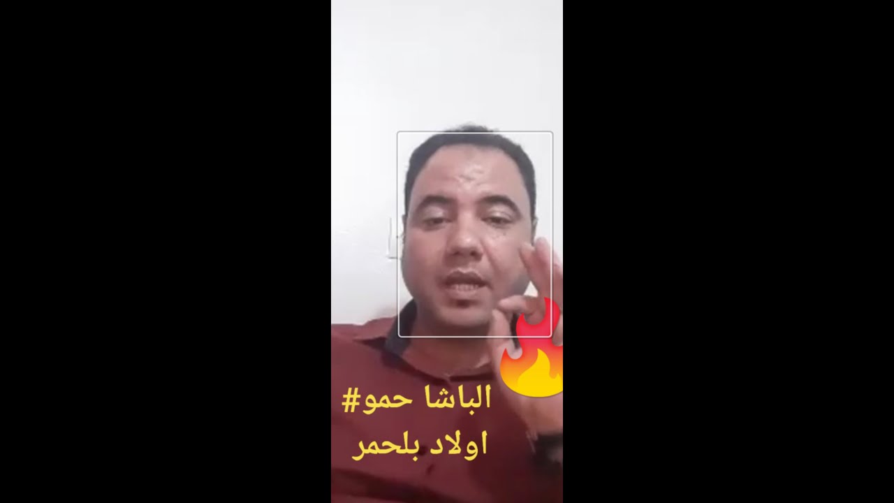 الباشا حمو # اولاد بلحمر#امين الحاج مصطفى# سيدي حمو# حمودة 00212639108725