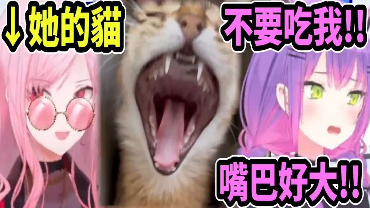 當Calli養的大嘴貓襲向Towa時..Towa露出可愛的哭哭臉!!【hololive中文】 【Vtuber精華】【常闇トワ】【常闇永遠】【Towa】【Calliope】