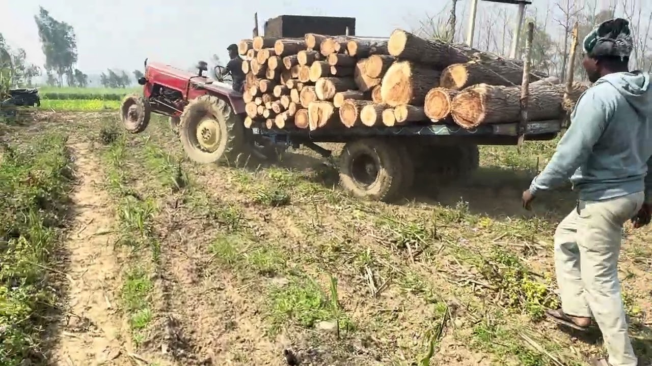 Mahindra Bahadur gadri ￼Ke Jor or full  uht kar jor lag rah ha ￼