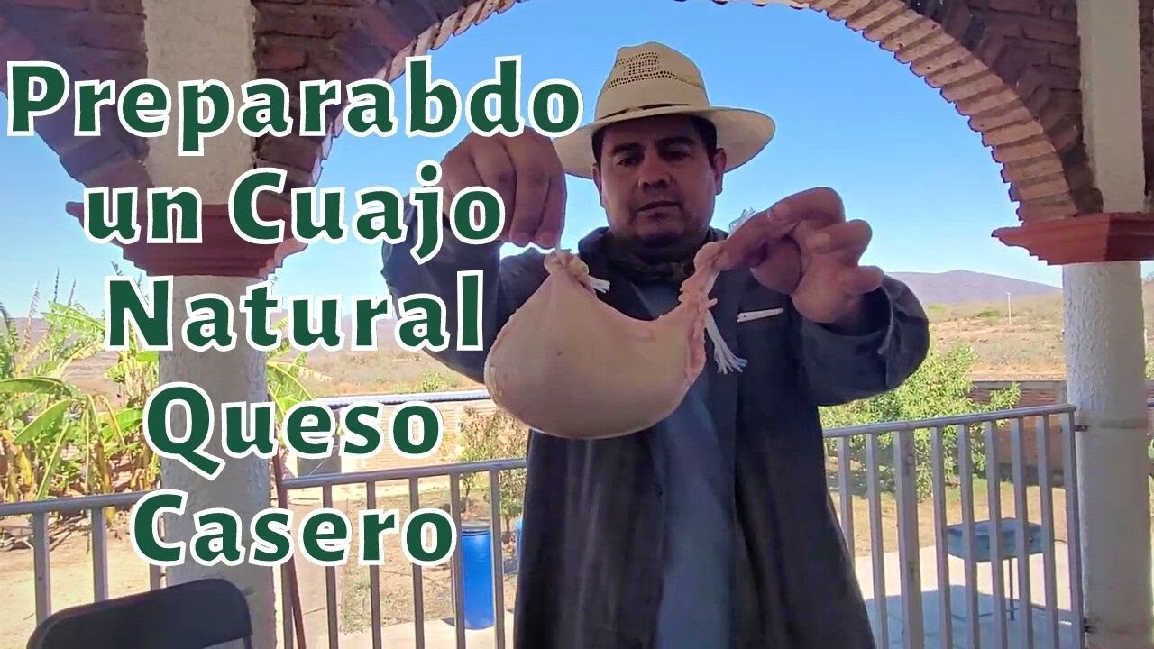 Como hacer el mejor Cuajo natural para hacer el queso casero