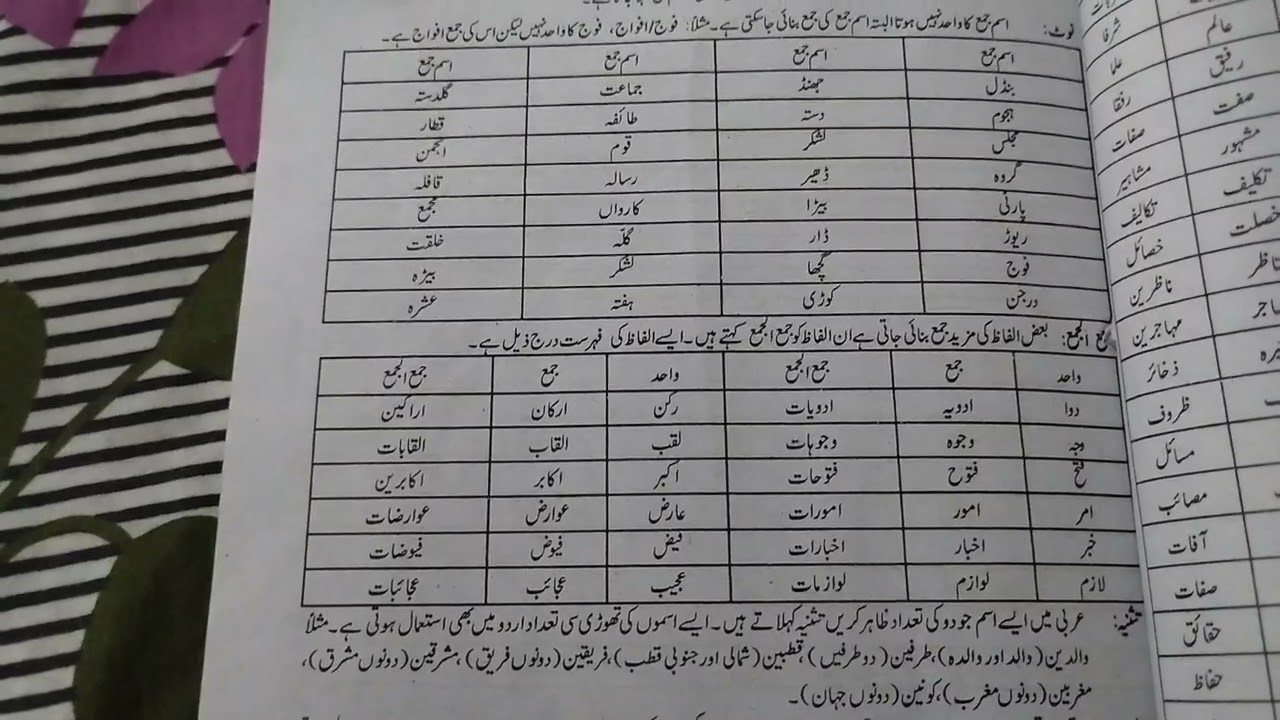 اردو گرائمر اسم کی اقسام(تعداد کے لحاظ سے)