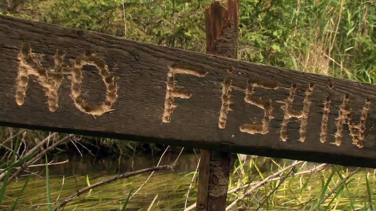 No fishing