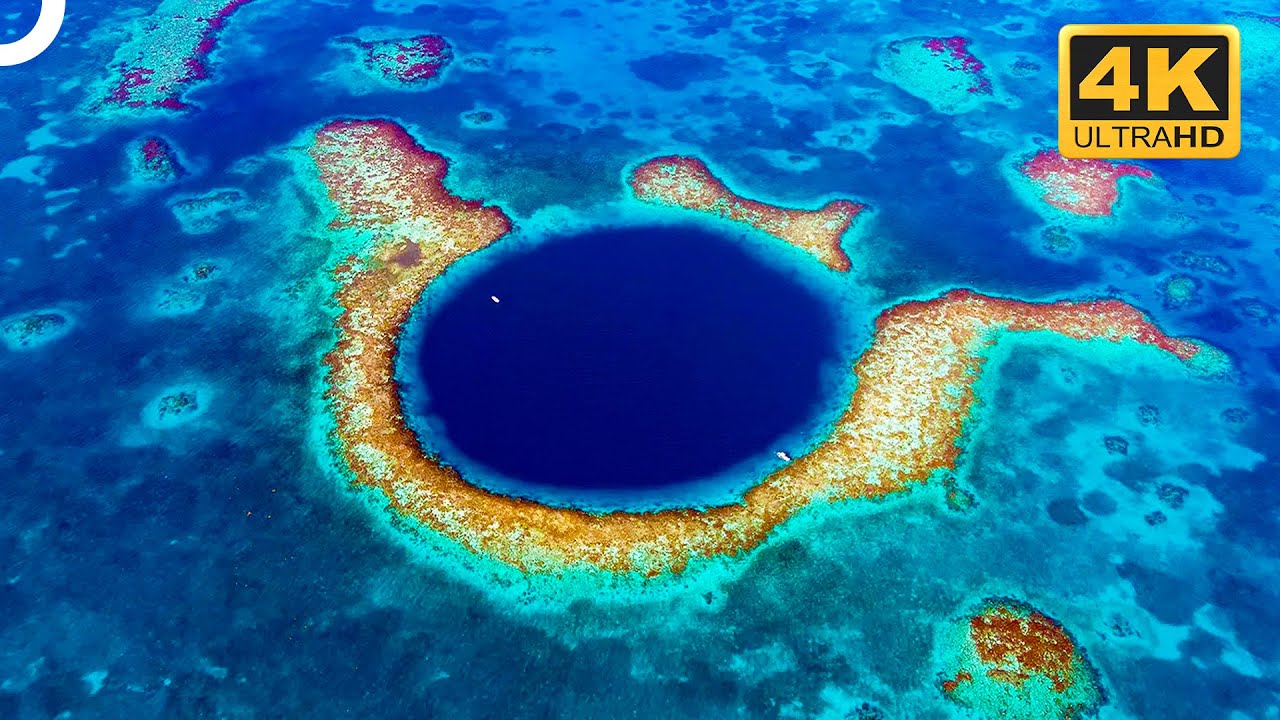 The Great Blue Hole: Belize's Underwater Coral Gardens | Miracles Of Nature | 4K Nature Documentary