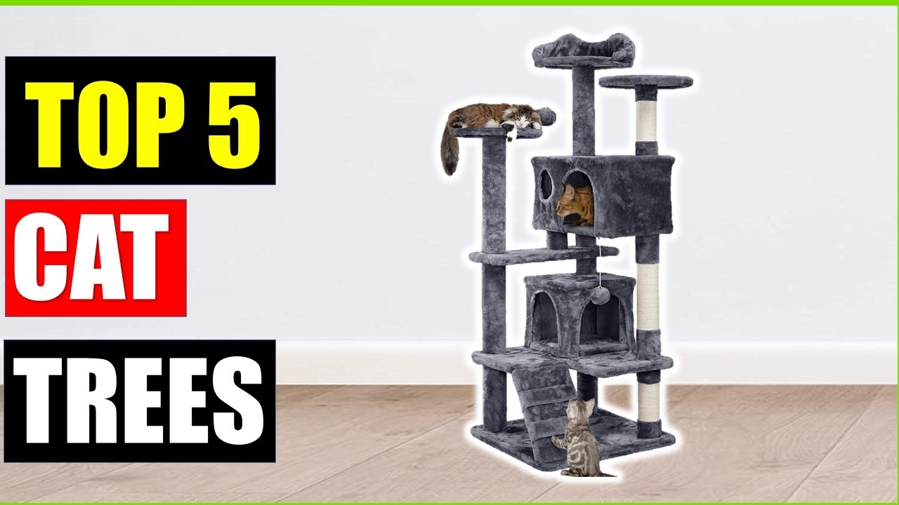 Top 5 Best Cat Trees for Large Cats of {2026} | Top our picks Budget Cat Trees Reviewed!