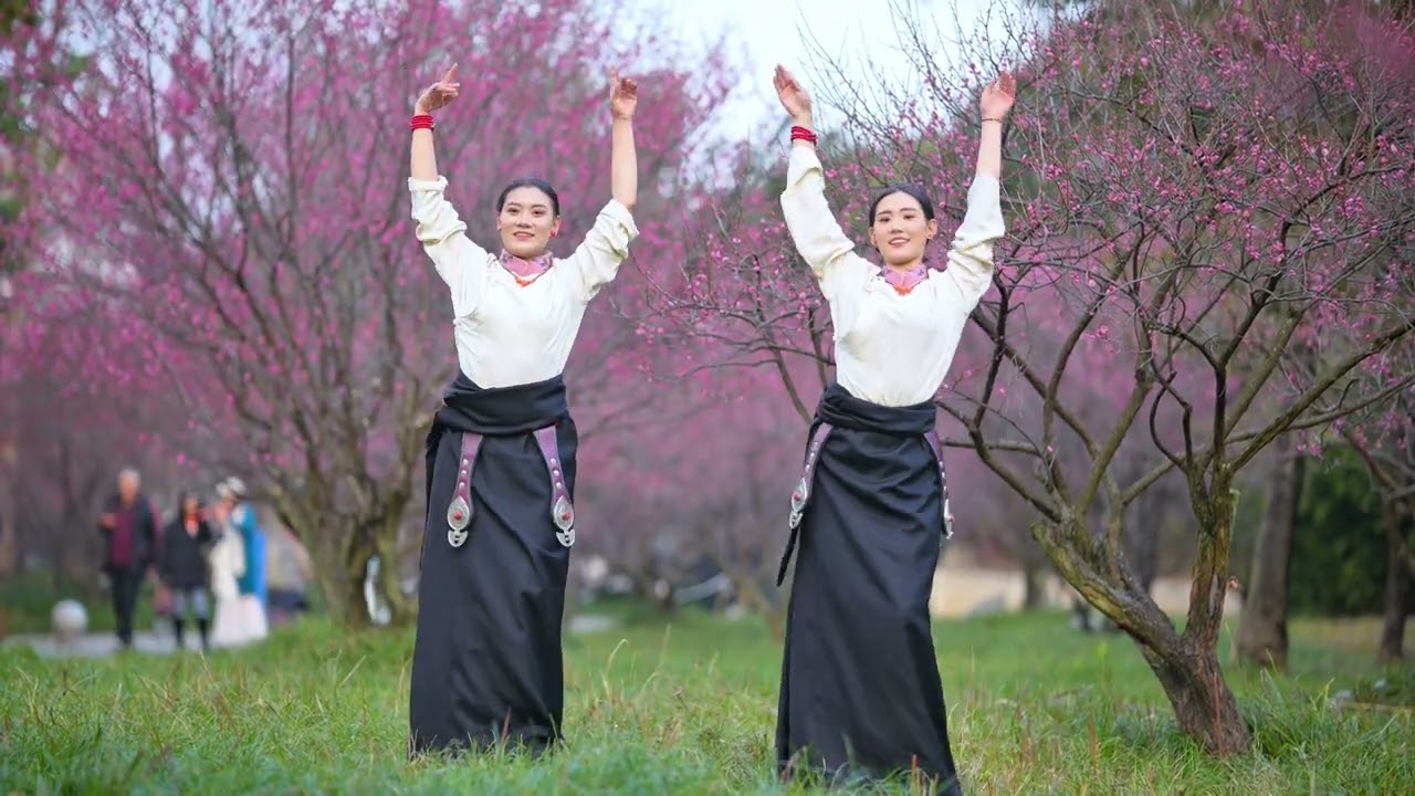 《Gathering》Aba Dual Sisters 《欢聚》阿坝双子妹