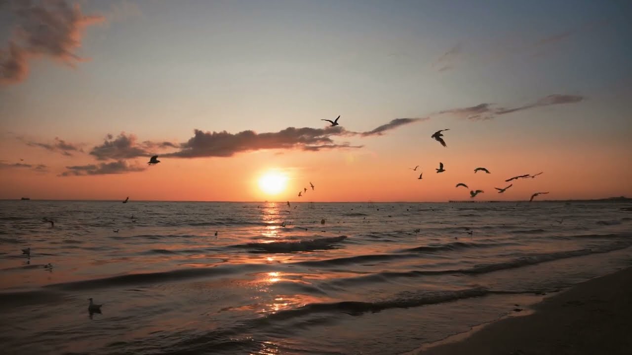 Songs from The Heart Mix - Organic House/Downtempo - DJ Mix: Nick Newman (All Original Music)
