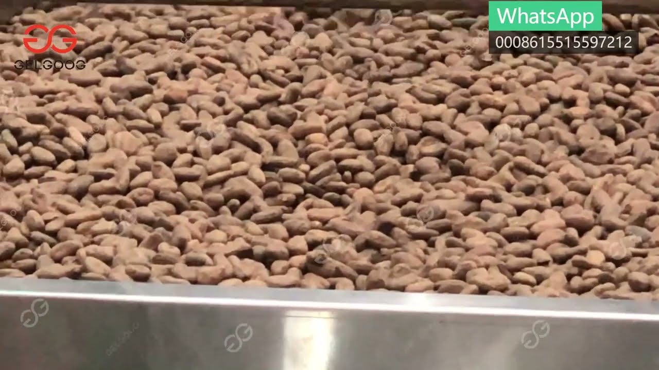 Cocoa Bean Roasting and Cooling Machine 100 kg/h
