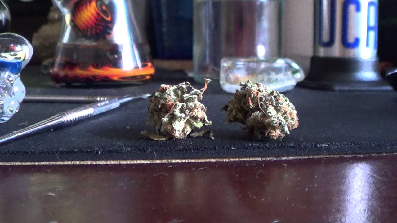 Lemon OG Strain Review