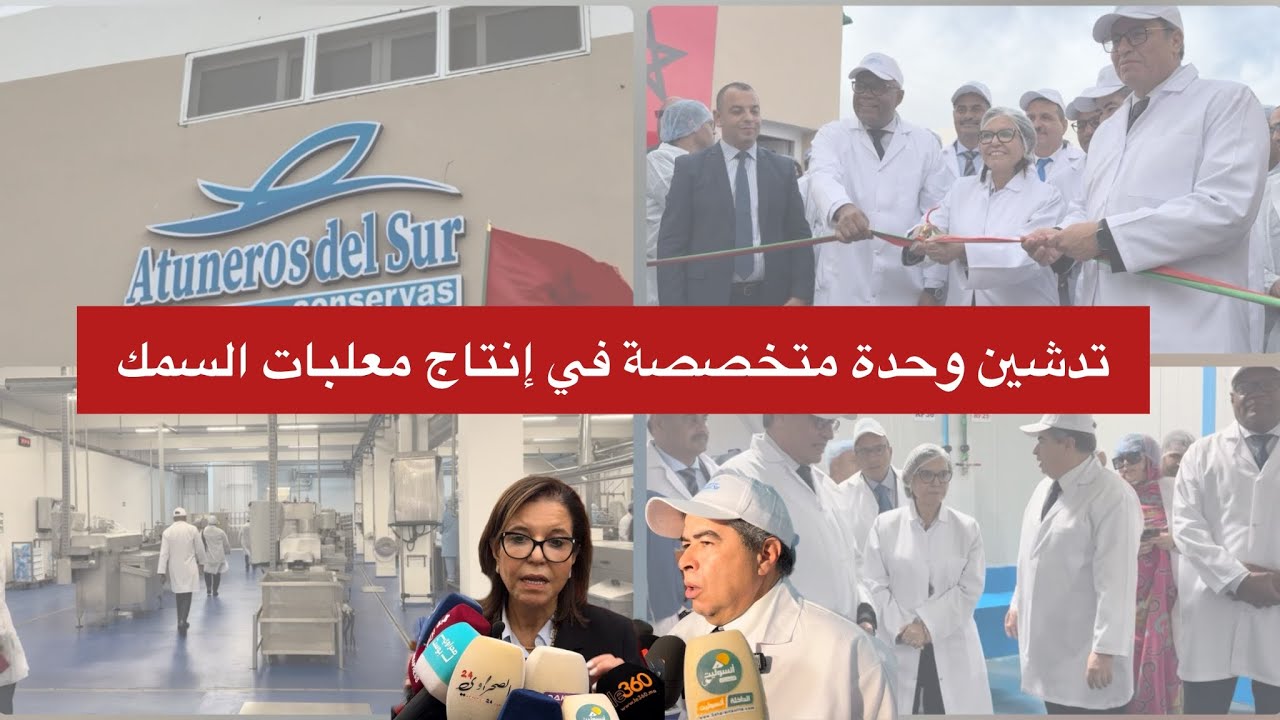 الوزيرة 
