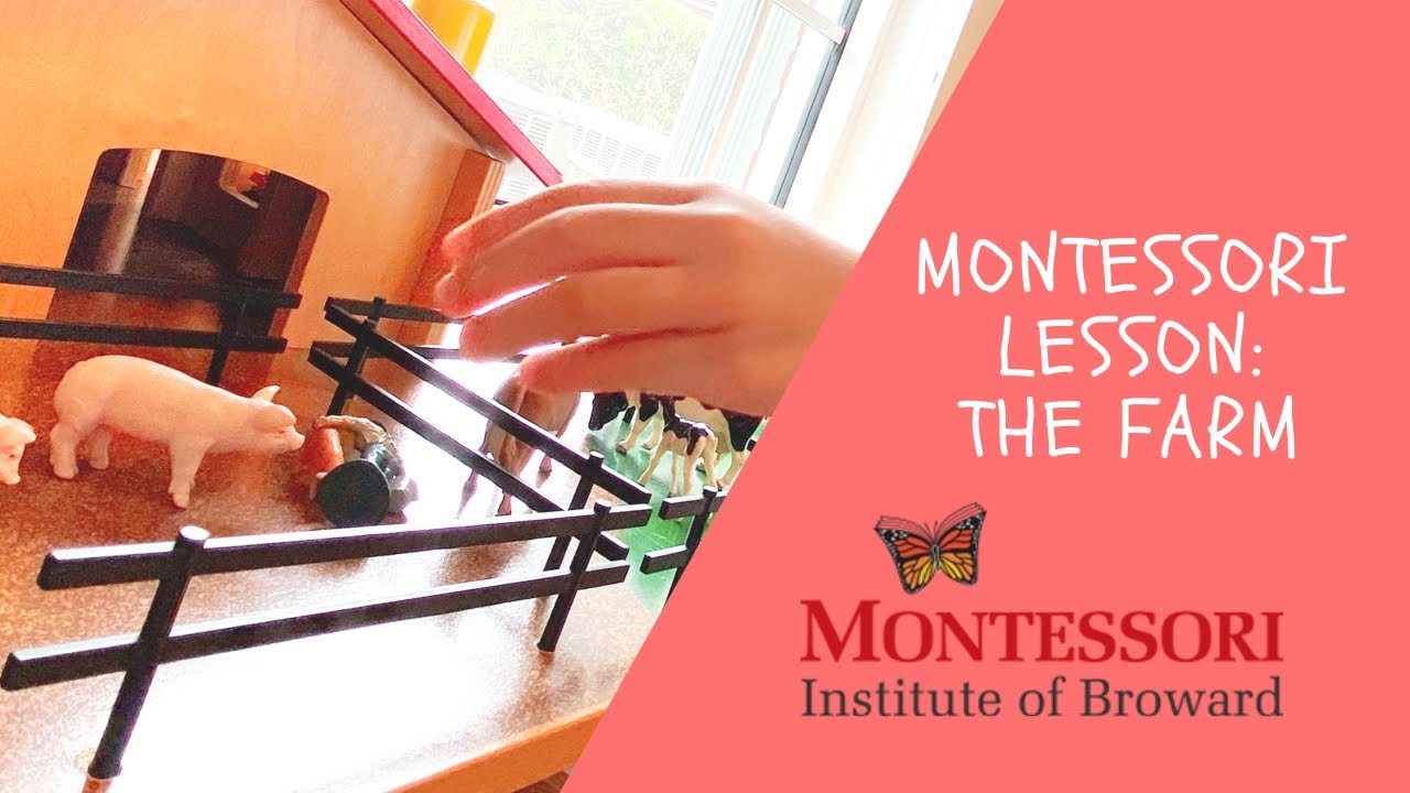 Montessori The Farm Lesson - introduction to grammar