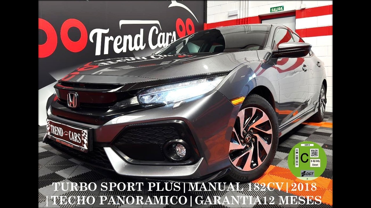 CLIENTE CIVIC GRIS