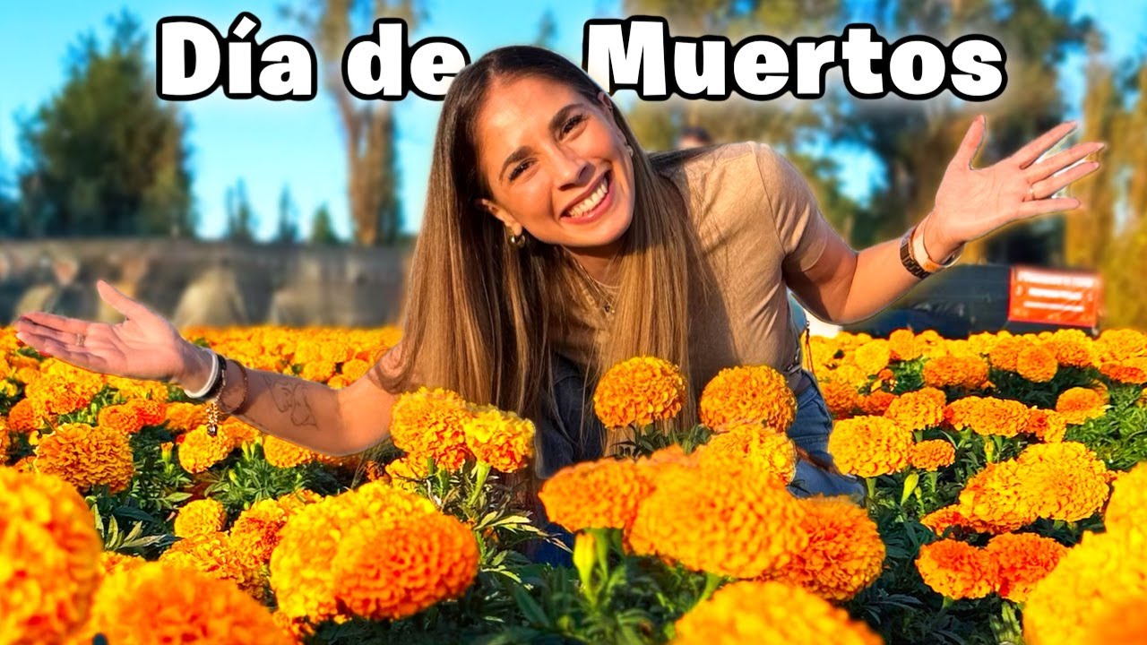 🌼 Xochimilco: il magico Día de Muertos tra i fiori di Cempasúchil (Città del Messico)