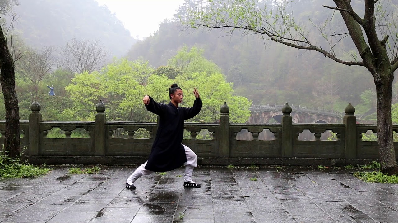 武当太极28式 唐资初道长 Taichi