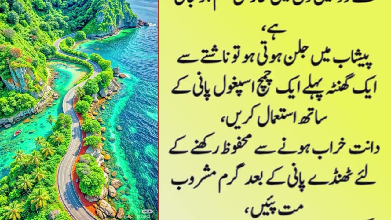 Quotes About Life Urdu | Rumi Quotes | Motivational & Inspirational Quotes Urdu | Hazrat Ali |Totkay
