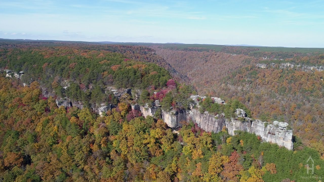 Fall Hike to Buzzard Point (Laurel Snow - Dayton, TN)