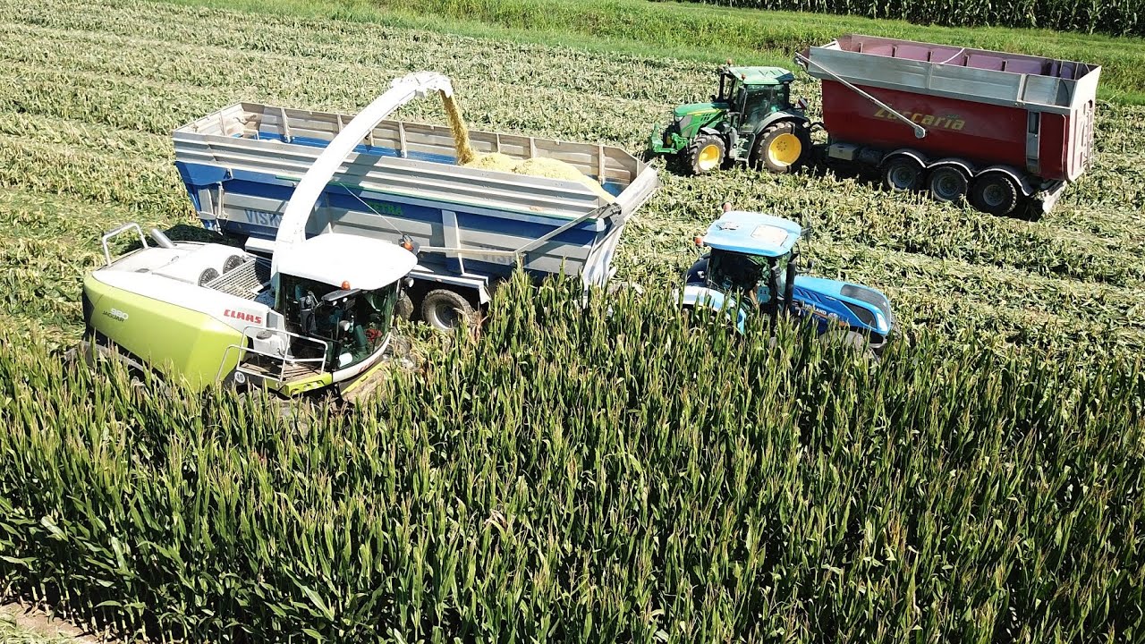 Claas Jaguar 980 | Olimac Drago2 | Pastone di mais 2022