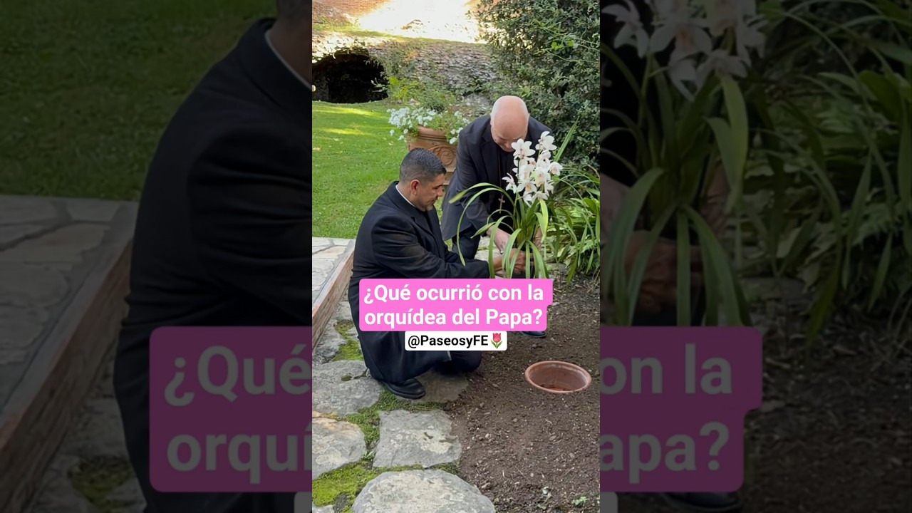 &iquest;Qu&eacute; ocurri&oacute; con la orqu&iacute;dea que el rey Carlos obsequi&oacute; al #papa Le&oacute;n? 🌷😇