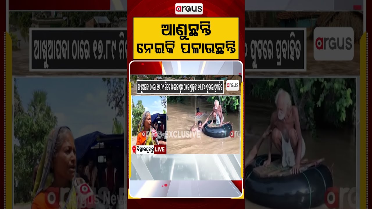 ଆଣୁଛନ୍ତି ନେଇକି ପଳାଉଛନ୍ତି | Jajpur Flood Situation Worsens | Over 170 Villages Submerged | Argus News