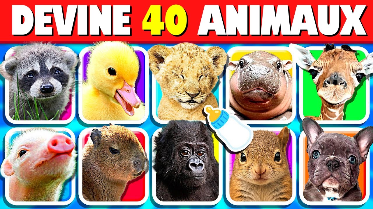 Devine l&rsquo;Animal &agrave; partir de Son Petit 🐶🐱 40 Questions