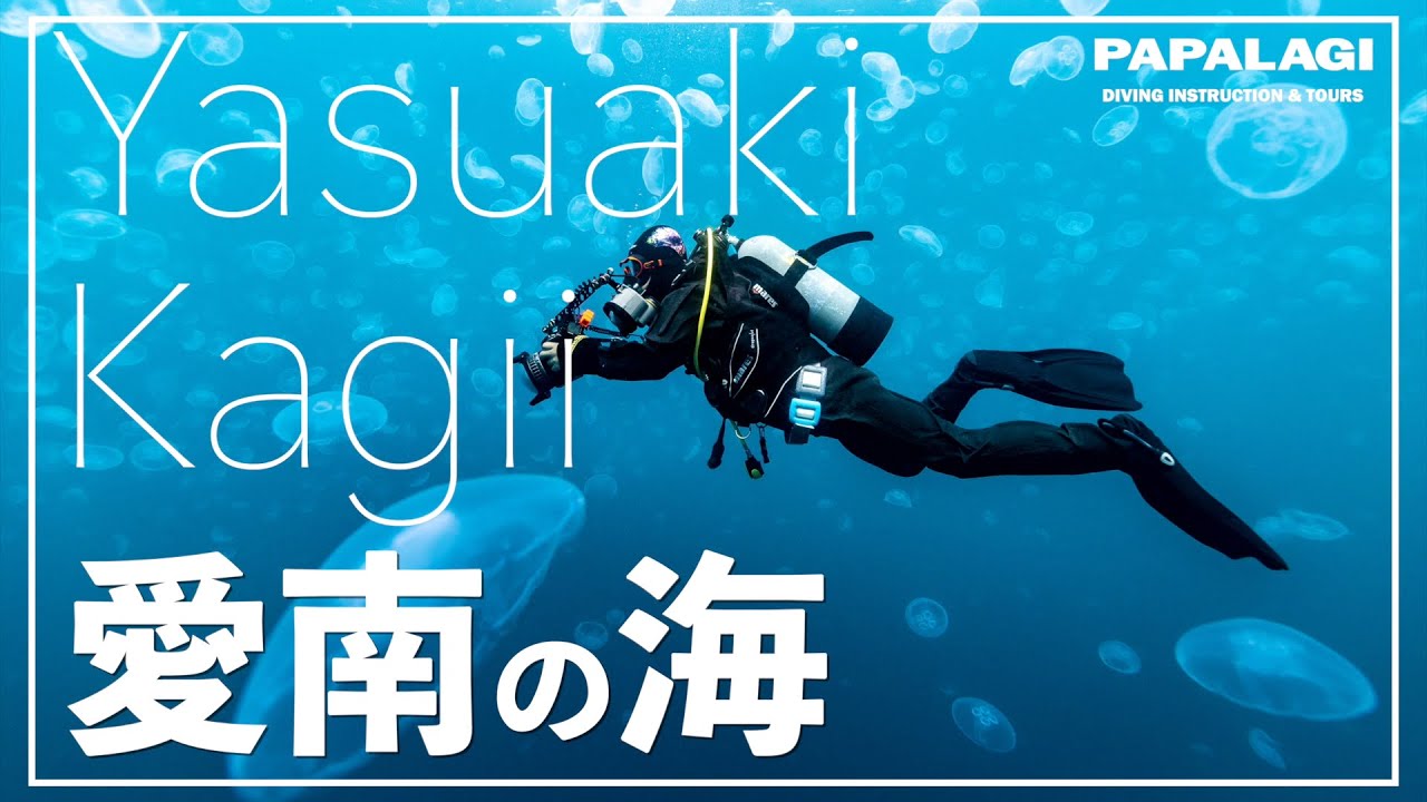 【ダイビング】愛南の海へ。写真家・鍵井靖章さんが惚れ込む手付かずの海。
