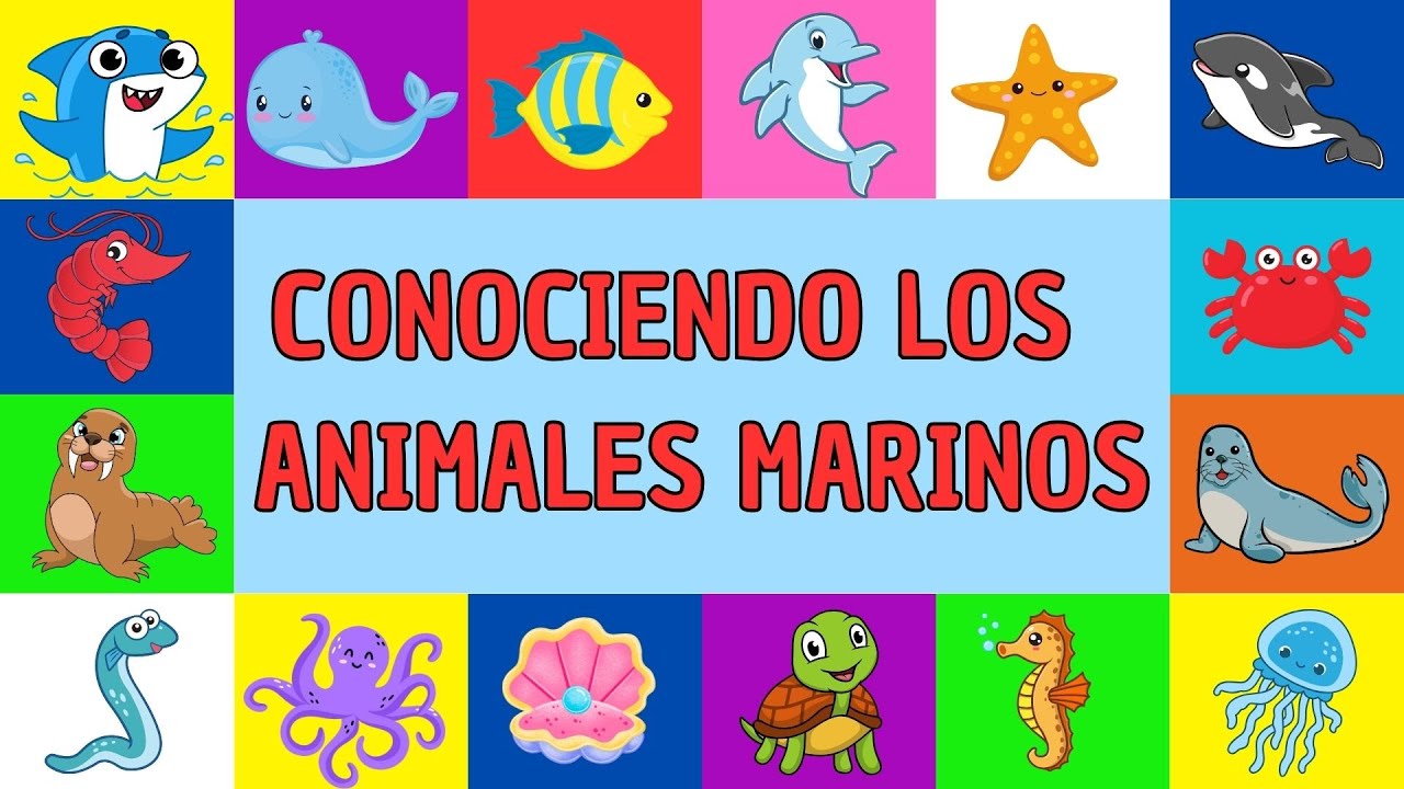 Conoce a los Animales Marinos: Explorando el Mundo Submarino 🌊🐠🐳 | Aprende con Gael y Owen