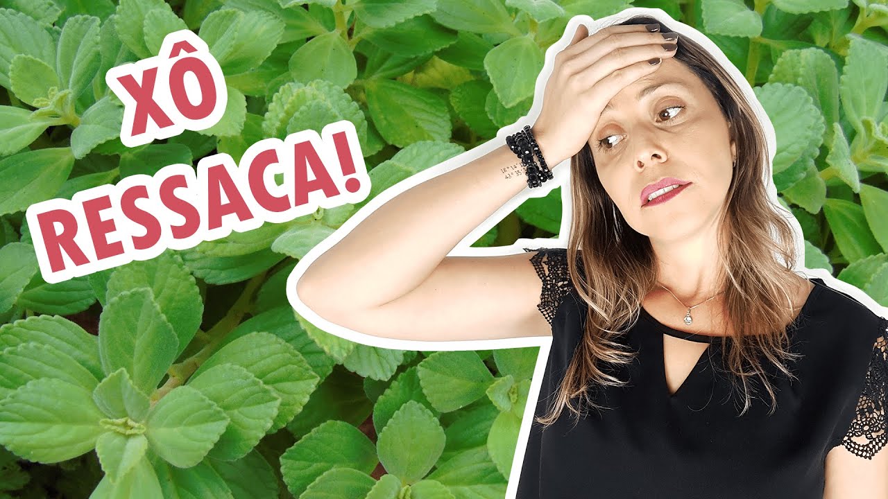 Conhe&ccedil;a os tipos de BOLDO e seus BENEF&Iacute;CIOS