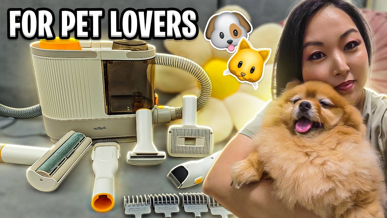 Palfur TIME and MONEY SAVING HACK: the power of practicality!!