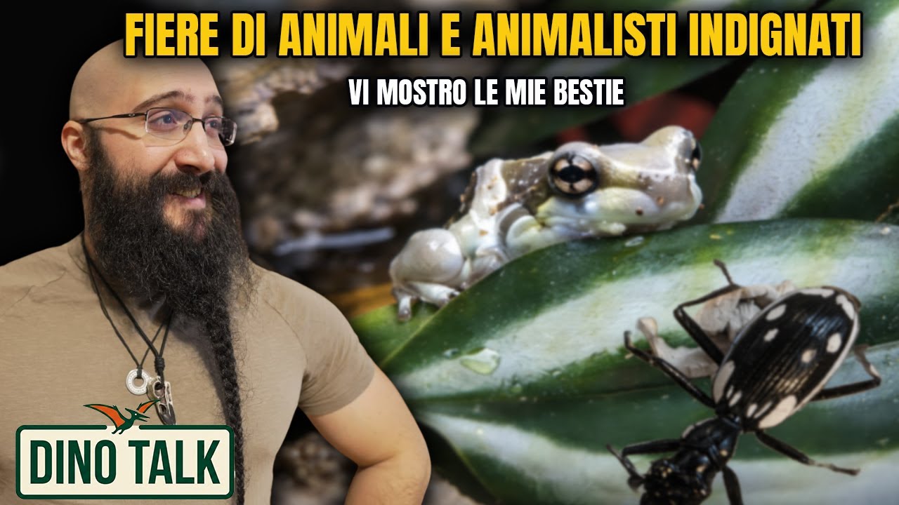 DINO TALK #3 Gli ANIMALI e GLI ANIMALISTI - Vi Faccio vedere le MIE BESTIE