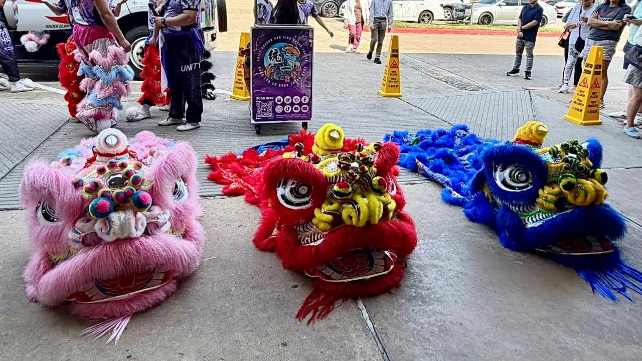 Amazing Lion Dance Performance at 99 Ranch Market（大華超級市場的精彩舞獅表演）🦁🥁 #traveldiary #texas #lunarnewyear