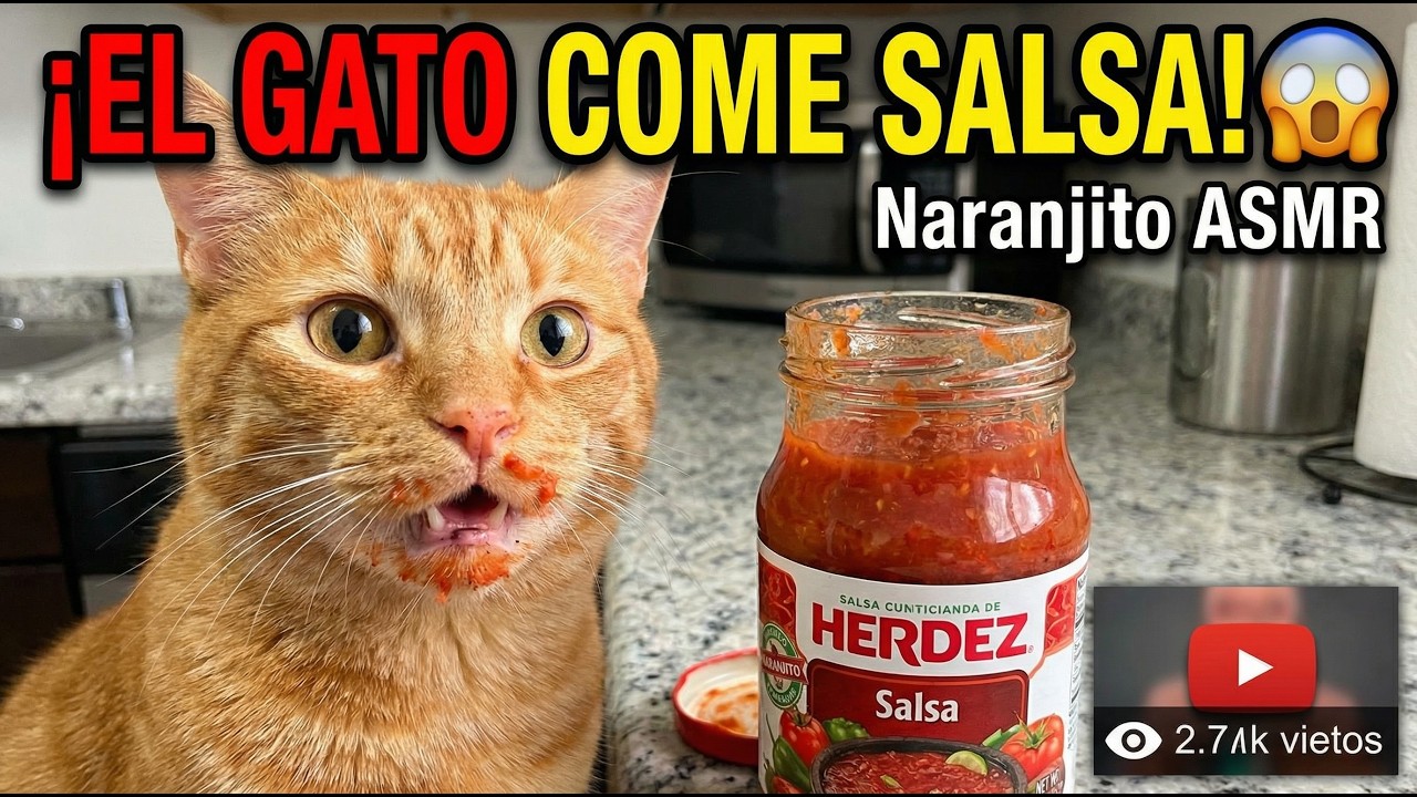 Pruebo La Salsa Por Accidente.😱 Naranjito ASMR😴