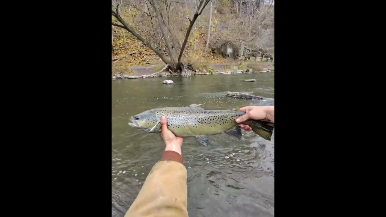 Burt dam Fishing Mid nov. 2025
