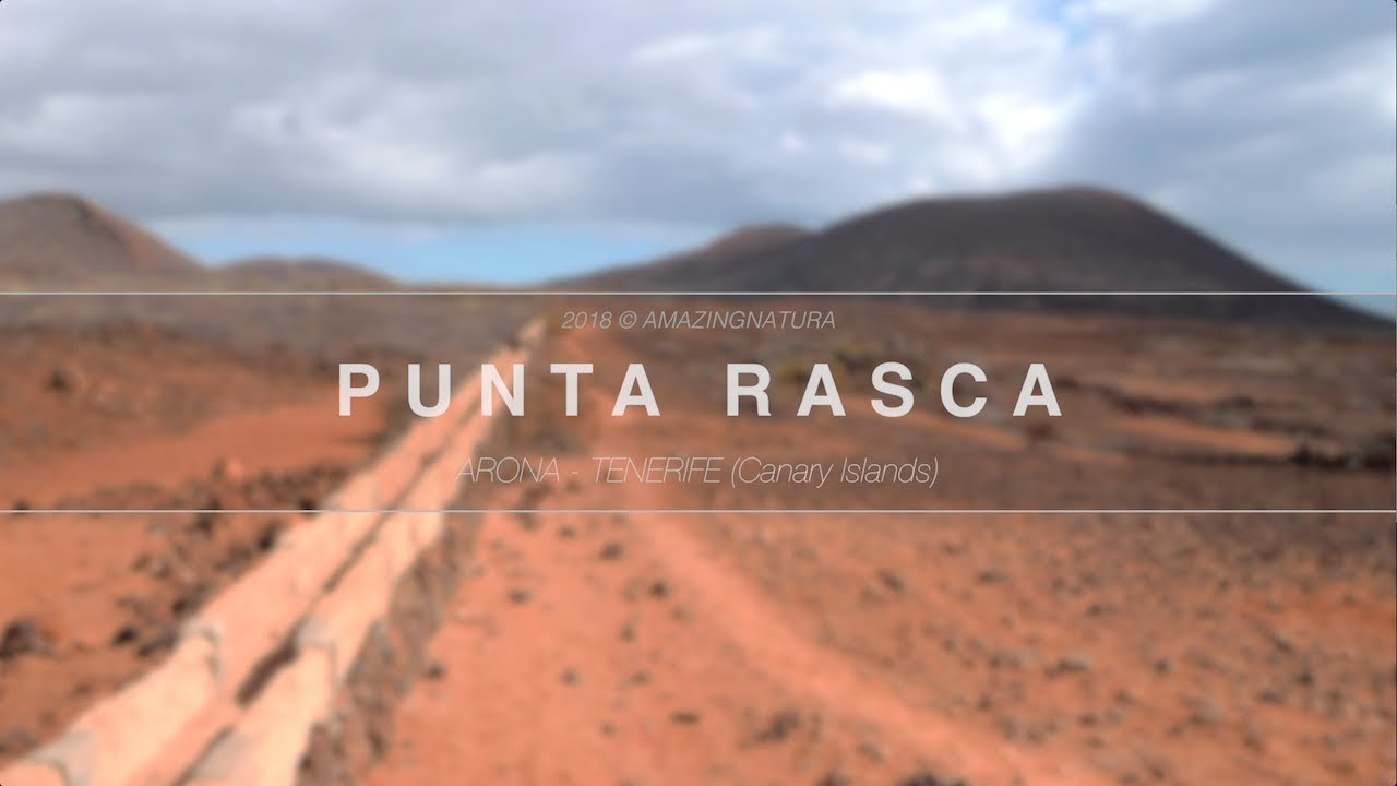 A Day at Punta Rasca (Arona, Tenerife (ES)) | 4K