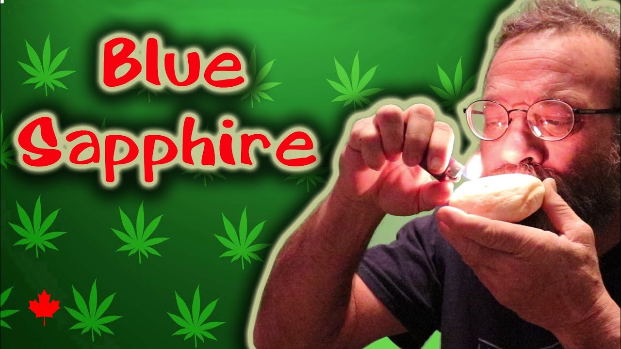Pot Strains - Blue Sapphire - This pot rocks!