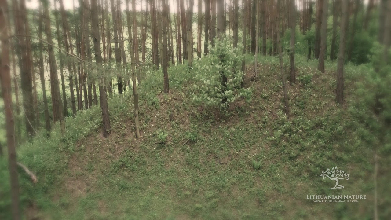 Papalazdijų piliakalnis su gyvenviete