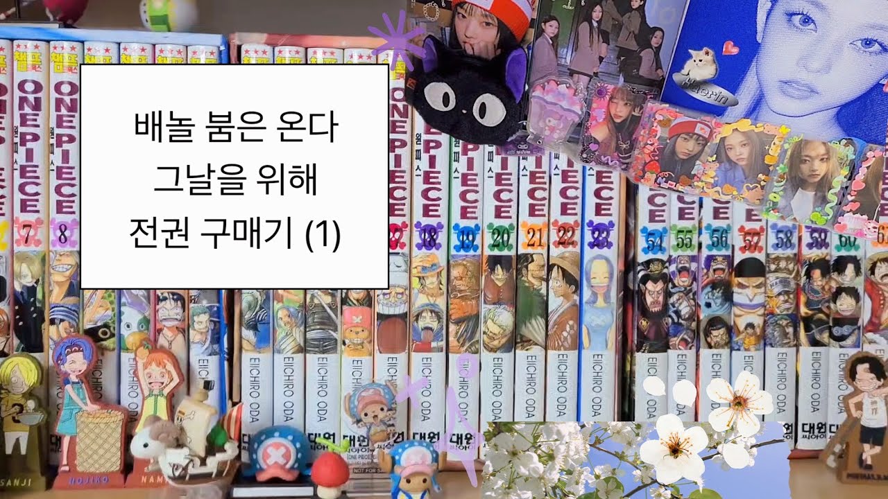 배멀미 해도 괜찮아 배놀 is 마이 라이프 | 원피스 박스판 만화책 언박싱 | 전권 모으기 장기 프로젝트 | 6박스 남았으니까 반년 그 안에 한 박스 더 나올 듯
