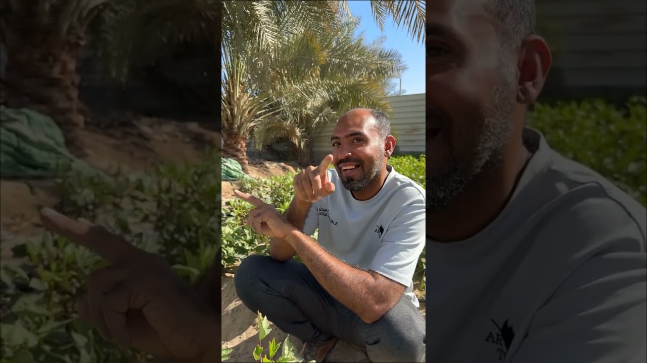 ١٤ نوفمبر، ٢٠٢٥