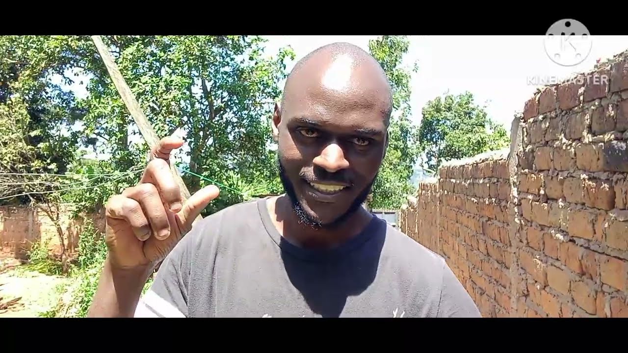 I Have NO Idea of What I am Supposed To Say| Kindly Watch Then Leave A Comment| If You Notice It