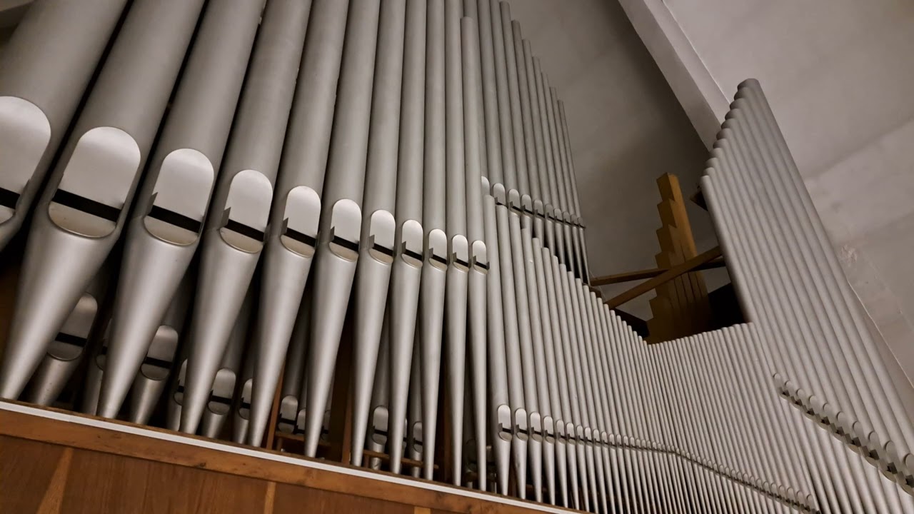 Józef Serafin - Koncert organowy | Władysławowo