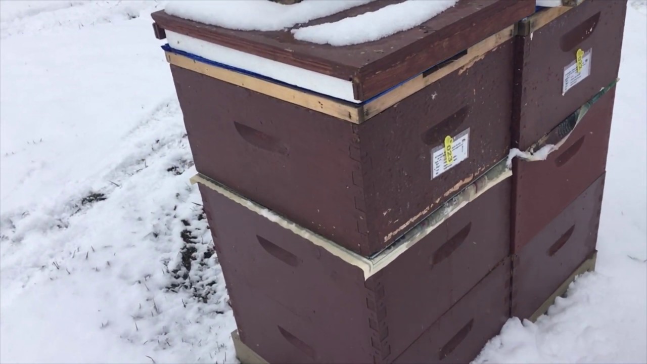 Two queen hives, boosting small colonies, Combine Techniques