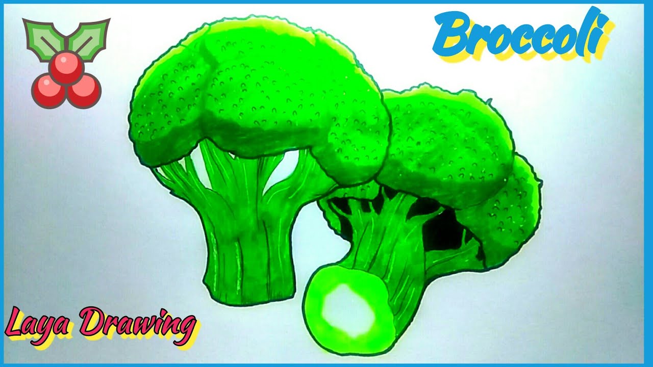 how to draw broccoli step by step guide - comment dessiner brocoli facilement