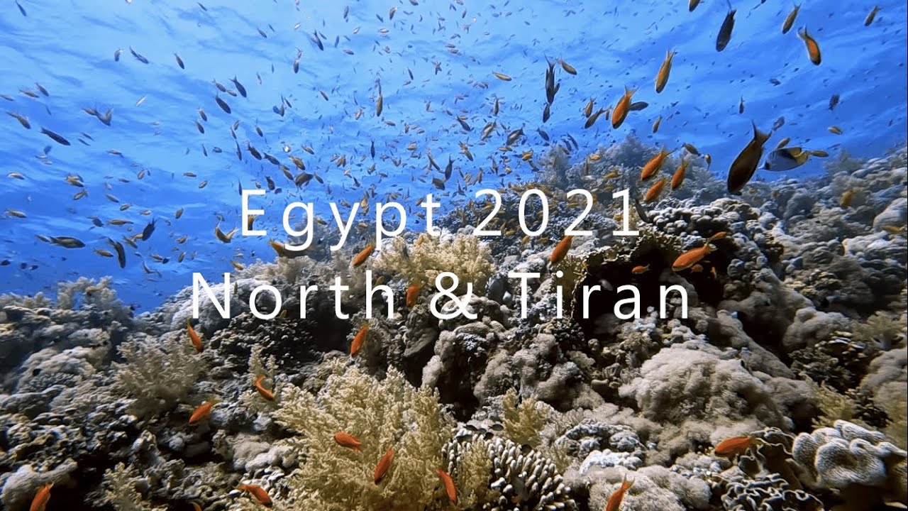 Egypt 2021 - North & Tiran